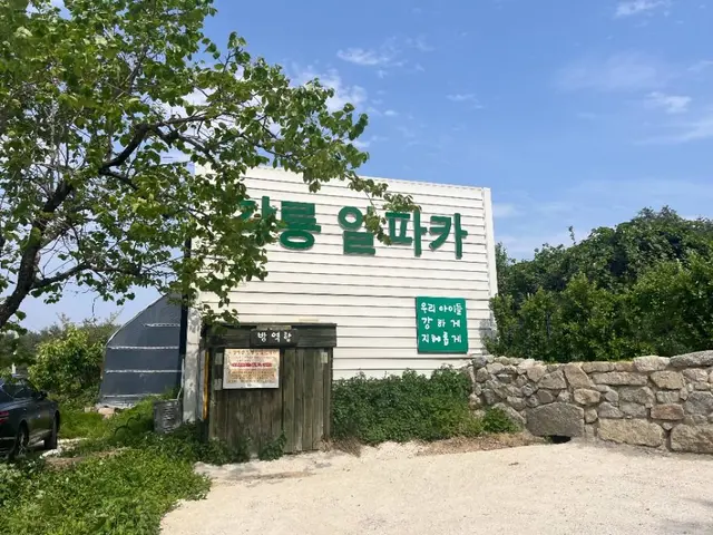 대관령아기동물농장 사진