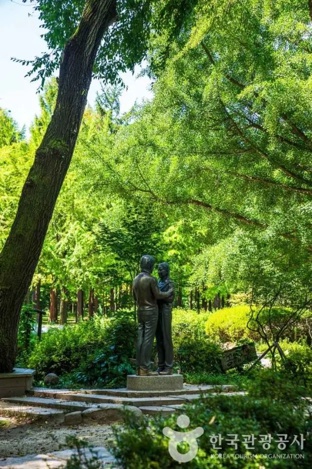 남이섬 사진