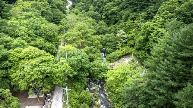 막동계곡 사진