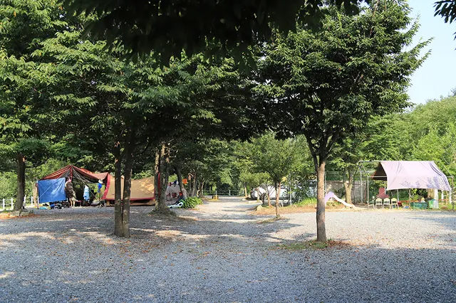 새막골캠핑장 사진