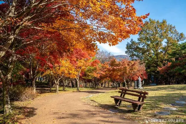 내장산조각공원 사진