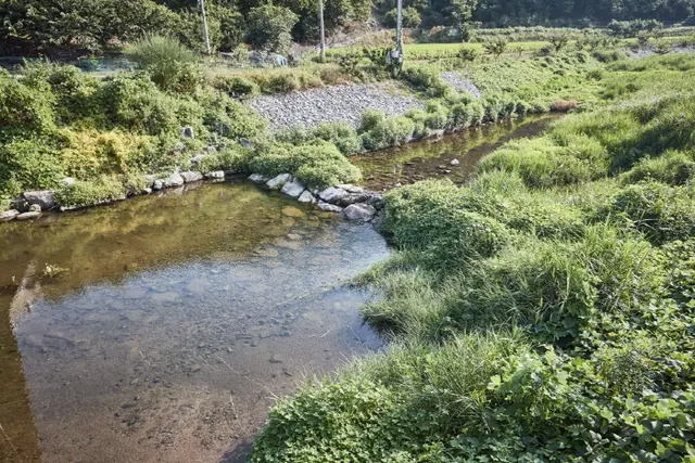 거전마을 사진