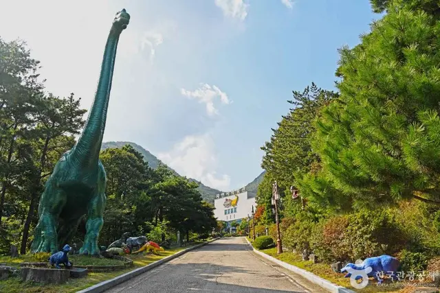 한국자연사박물관 사진