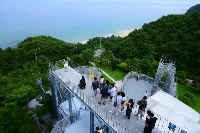 하슬라아트월드 사진