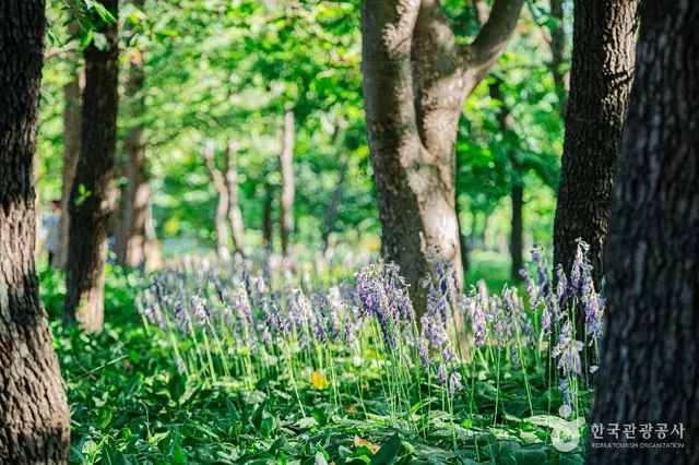 일산호수 사진