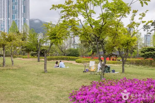 부산시민공원 사진