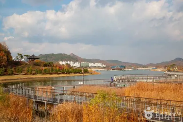 세종호수공원 사진