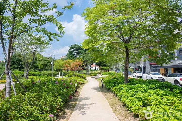 신동수변공원 사진