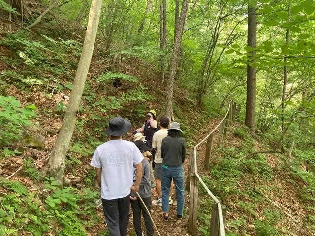 국립청옥산자연휴양림 사진