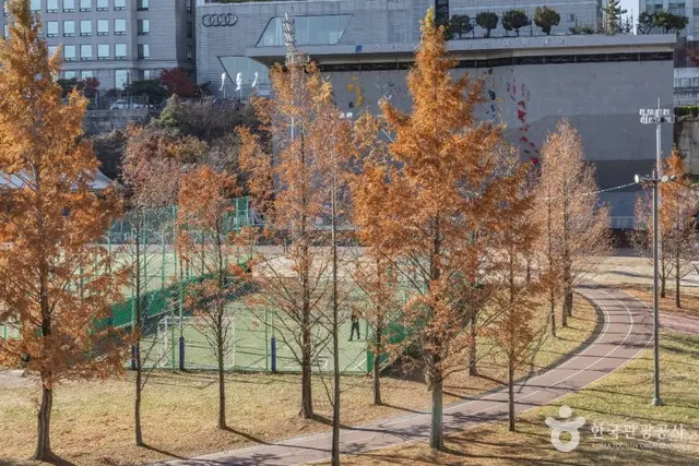 대치유수지체육공원 사진