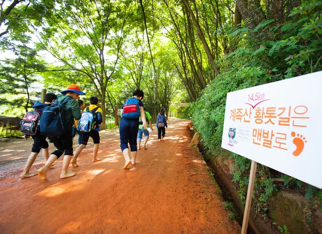 계족산 황톳길 사진