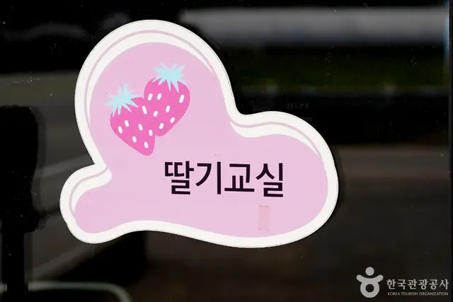 널위한딸기농장 사진