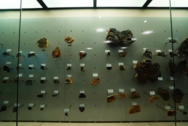 태백고생대자연사박물관 사진