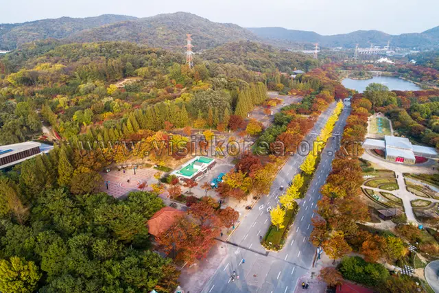 인천대공원 사진