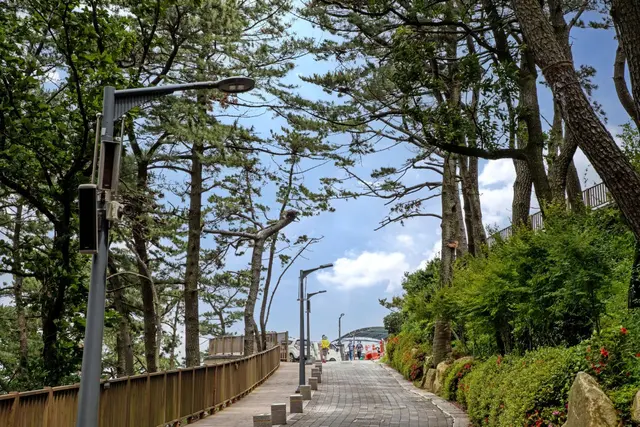 송도용궁구름다리 사진