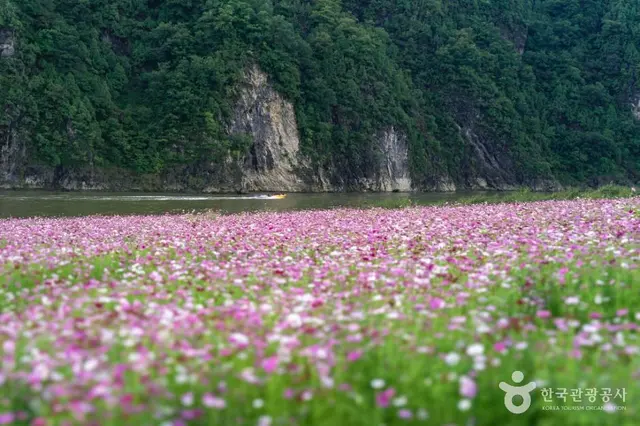도담정원 사진