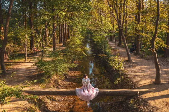 경북천년숲정원 사진