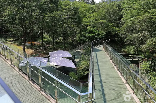 신구대학교 식물원 사진