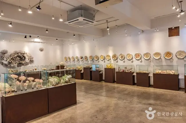 세계조가비박물관 사진