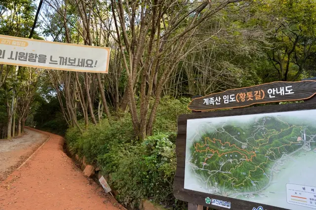 장동산림욕장 사진