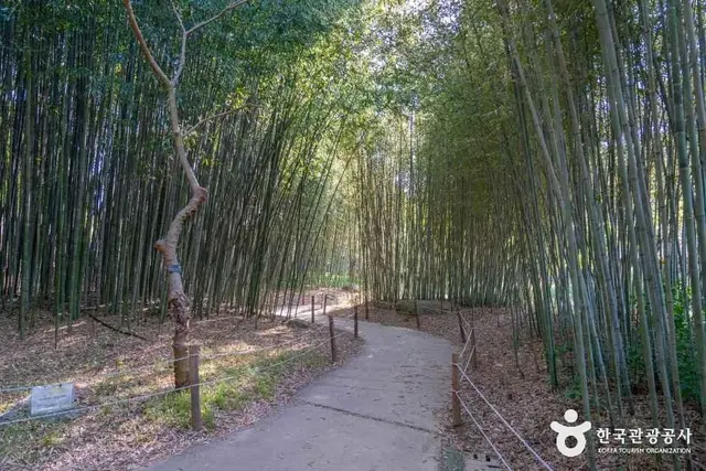 대구수목원 사진