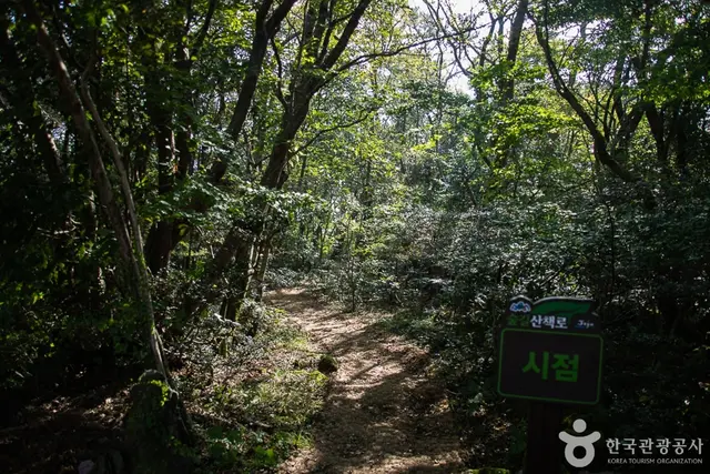 서귀포자연휴양림 사진