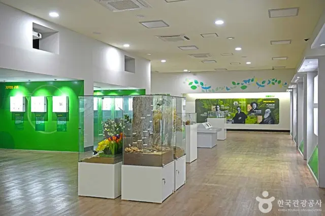인제곤충바이오센터 사진