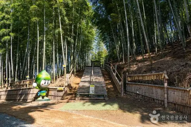 거제맹종죽테마공원 사진