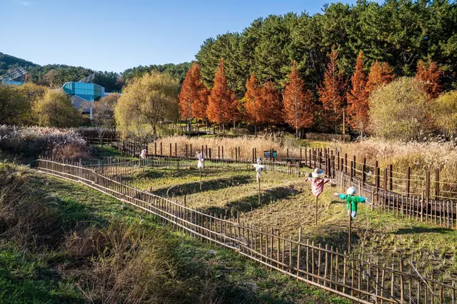 통영RCE세자트라숲 사진