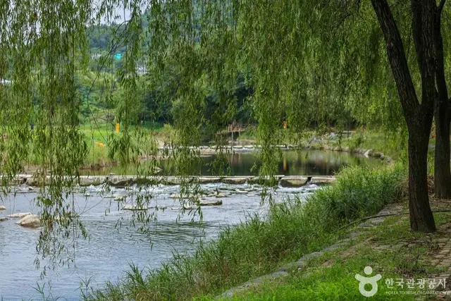 초지공원 사진
