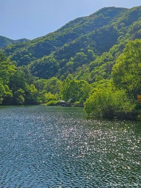 연암지질생태공원 사진