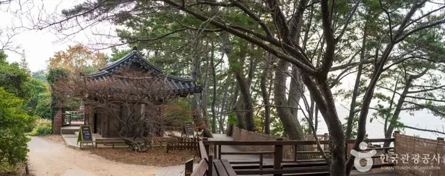 천리포수목원 사진