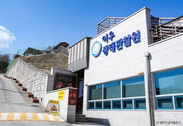 여우 생태관찰원 사진