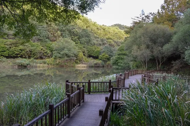 장동산림욕장 사진