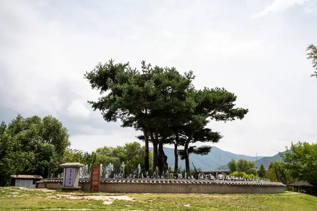 세미원 사진