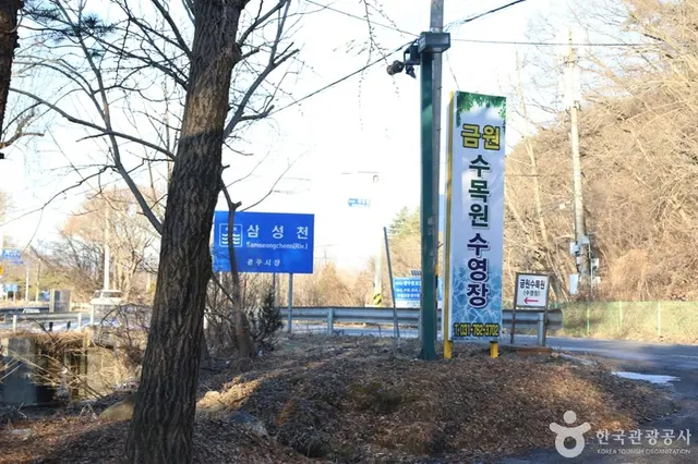 금원수목원수영장 사진