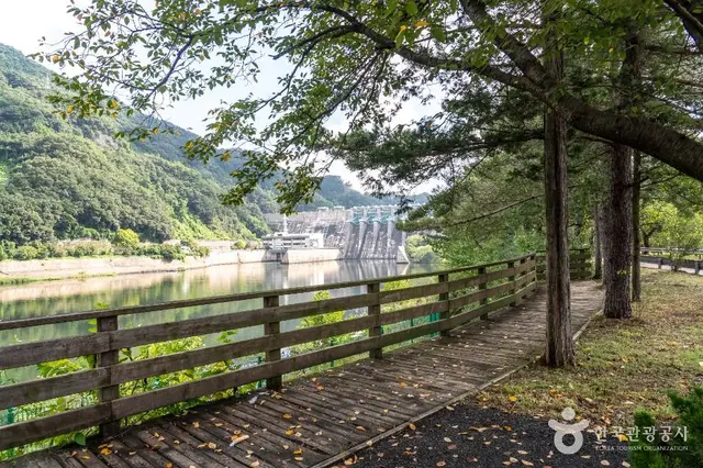 금강로하스대청공원 사진