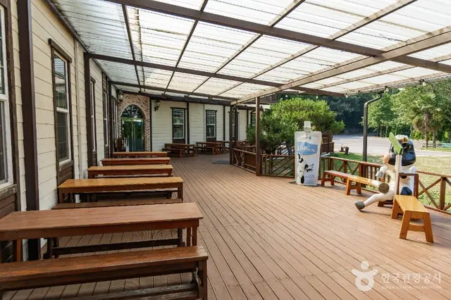 요라파목장 사진