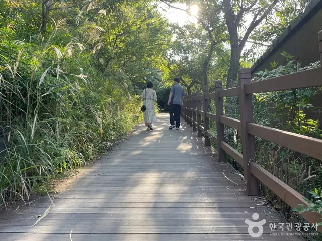 대구수목원 사진