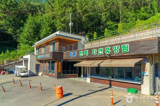 하동 편백자연휴양림 사진