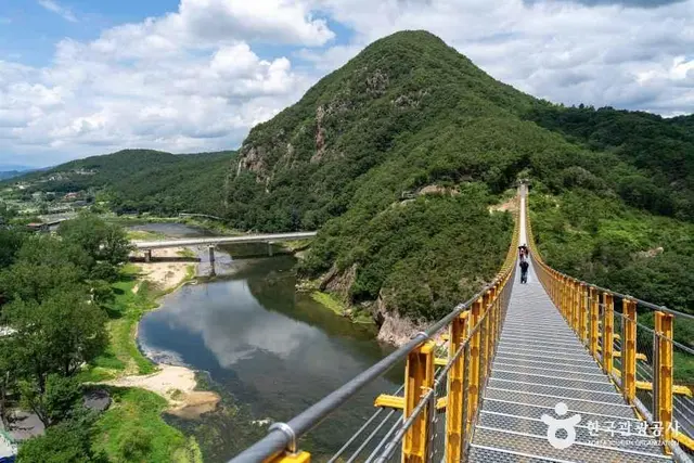 월영산 출렁다리 사진