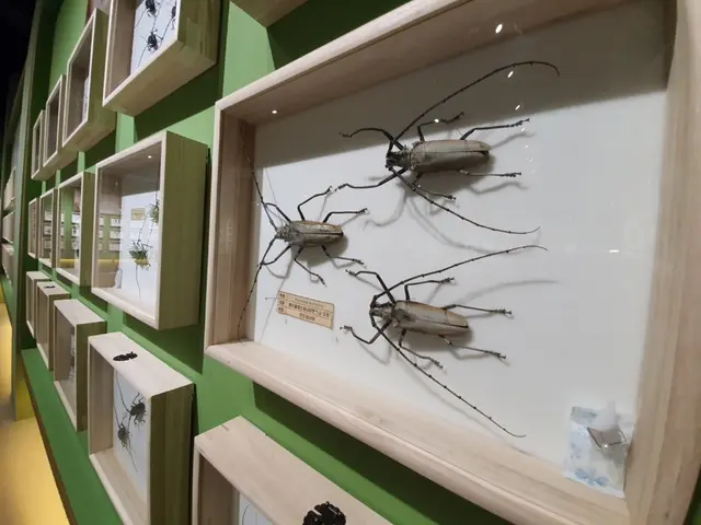 여주곤충박물관 사진
