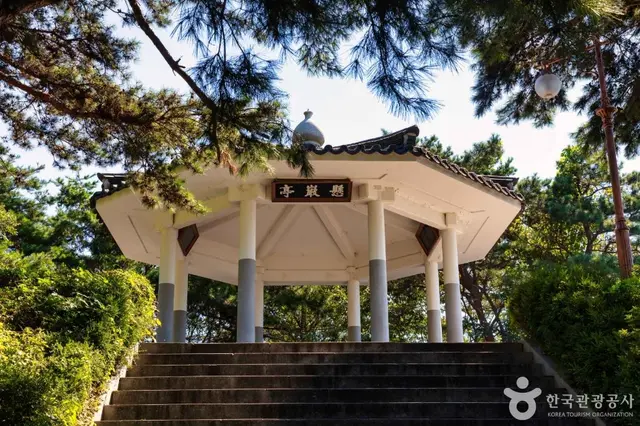대청댐 전망대 사진