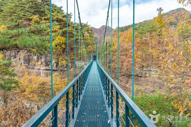 산성계곡생태공원어드벤처 사진
