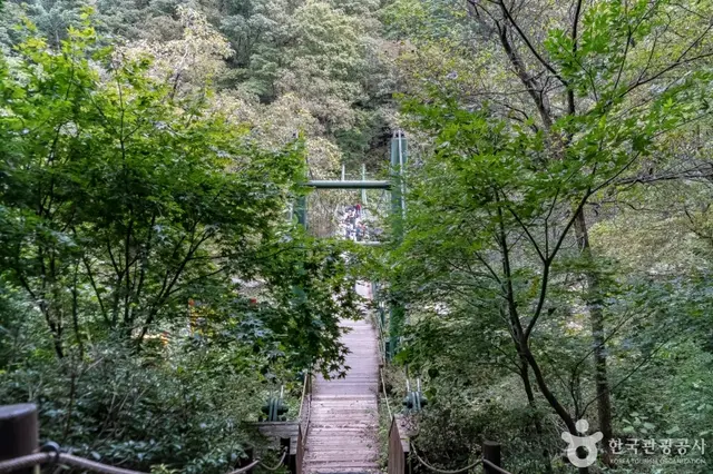 공작산생태숲 사진