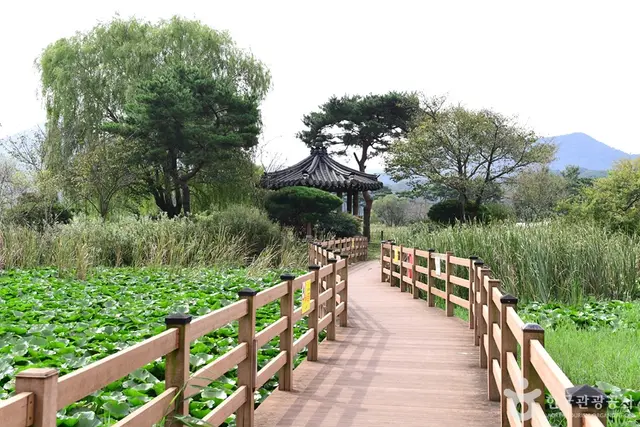 영광불갑테마공원 사진