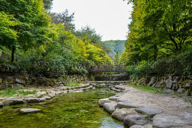 상소동 산림욕장 사진