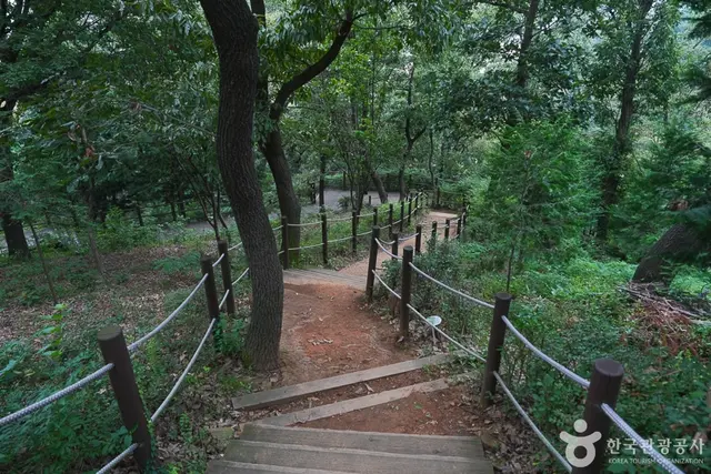 계양산 산림욕장 사진