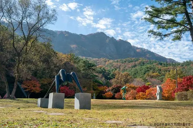 내장산조각공원 사진