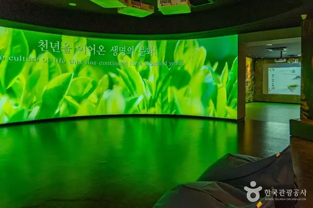 하동야생차박물관 사진